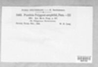 Image Associated With the Occurence